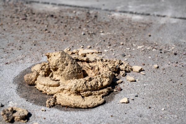 Cost of Driveway Slab Leveling in Battle Creek